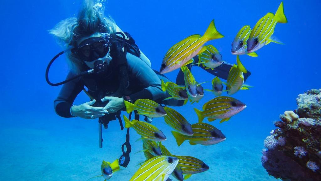 Une assurance voyage inclut-elle une protection pour la plongée sous-marine_2 (1)